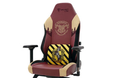 Secretlab Memory Foam Lumbar Pillow - Harry Potter Edition