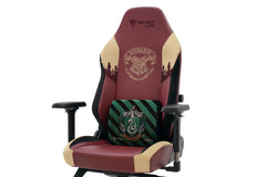 Secretlab Memory Foam Lumbar Pillow - Harry Potter Edition