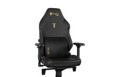 Secretlab Lumbar Pillow Pro