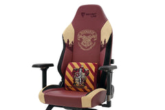 Secretlab Memory Foam Lumbar Pillow - Harry Potter Edition